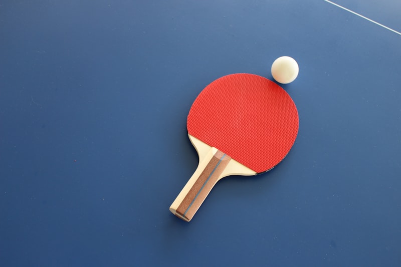 Table de ping-pong en plein air sur les berges du Rhone a Lyon
